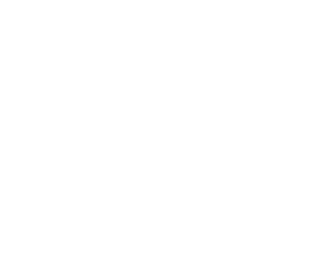 Alta Construction Services